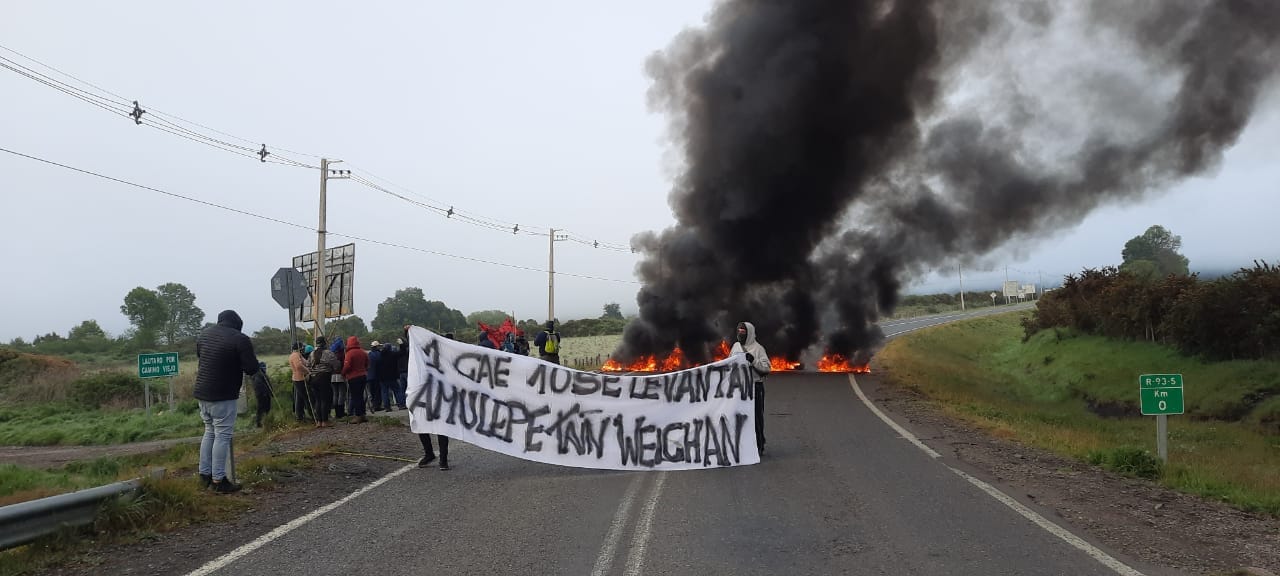 mapuche odofragmata