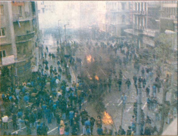 temponeras10